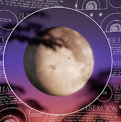 coin image